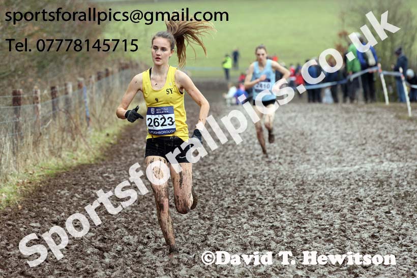 Womens under-20s 2018 British Inter Counties Cross Country Champs., Prestwold Hall, Loughborough. Photo: David T. Hewitson/Sports for All Pics